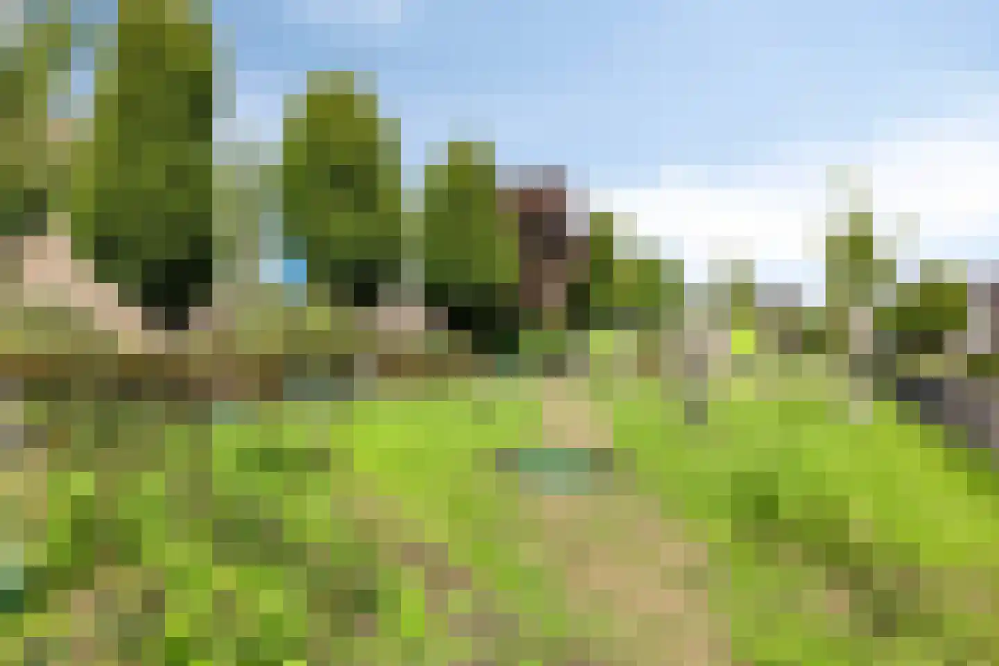 Wilhelminalaan 69 Brakel thumbnail 44