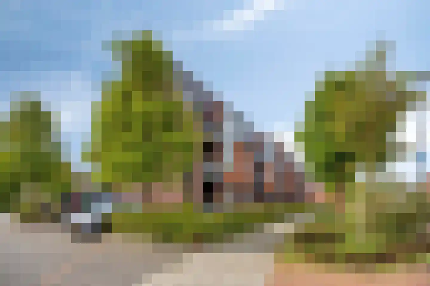 Wilhelminalaan 69 Brakel thumbnail 45