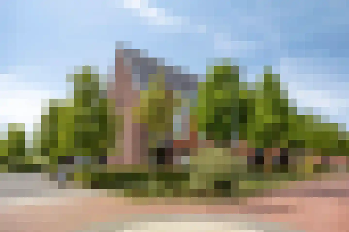 Wilhelminalaan 69 Brakel thumbnail 46