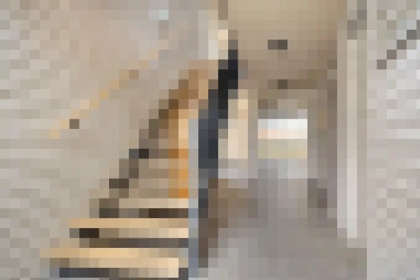 Wilhelminalaan 69 Brakel thumbnail 8