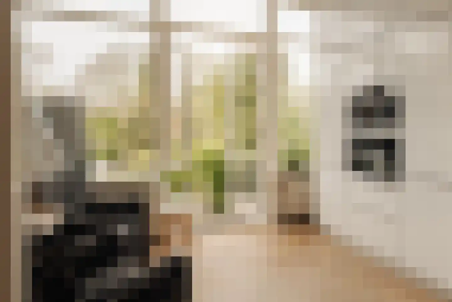 Wilhelminalaan 7 Alkmaar thumbnail 16