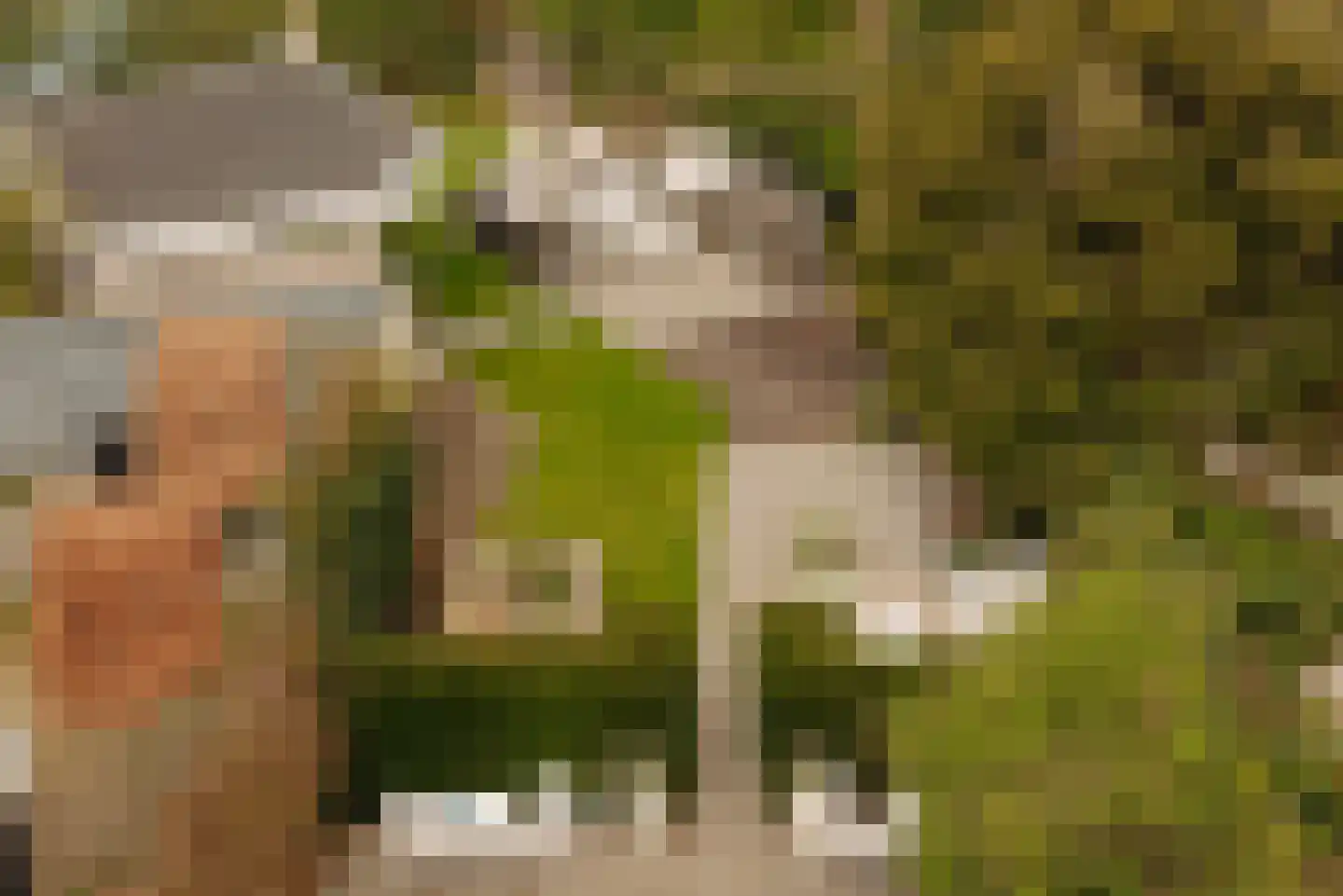 Wilhelminalaan 7 Alkmaar thumbnail 26