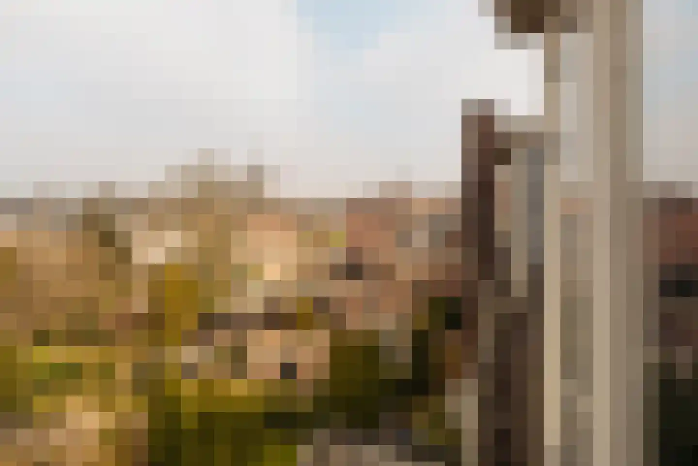 Wilhelminalaan 7 Alkmaar thumbnail 31