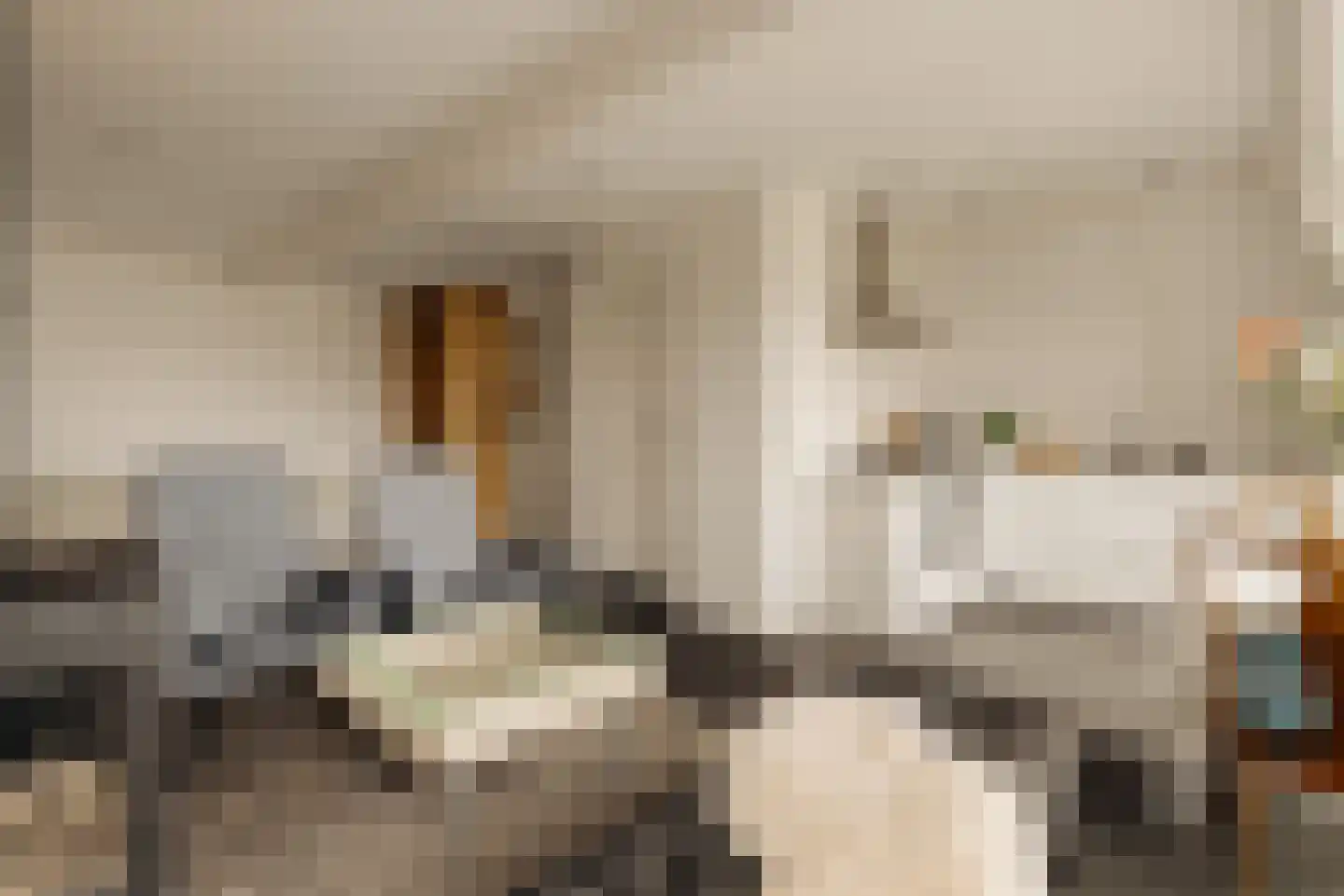 Wilhelminalaan 7 Alkmaar thumbnail 32