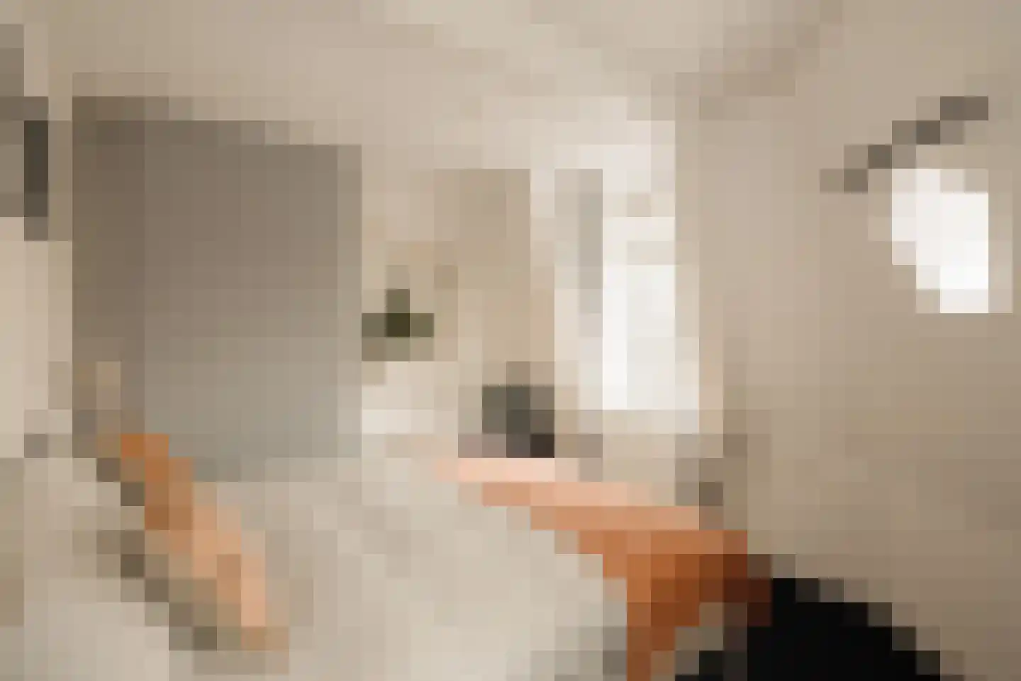 Wilhelminalaan 7 Alkmaar thumbnail 35