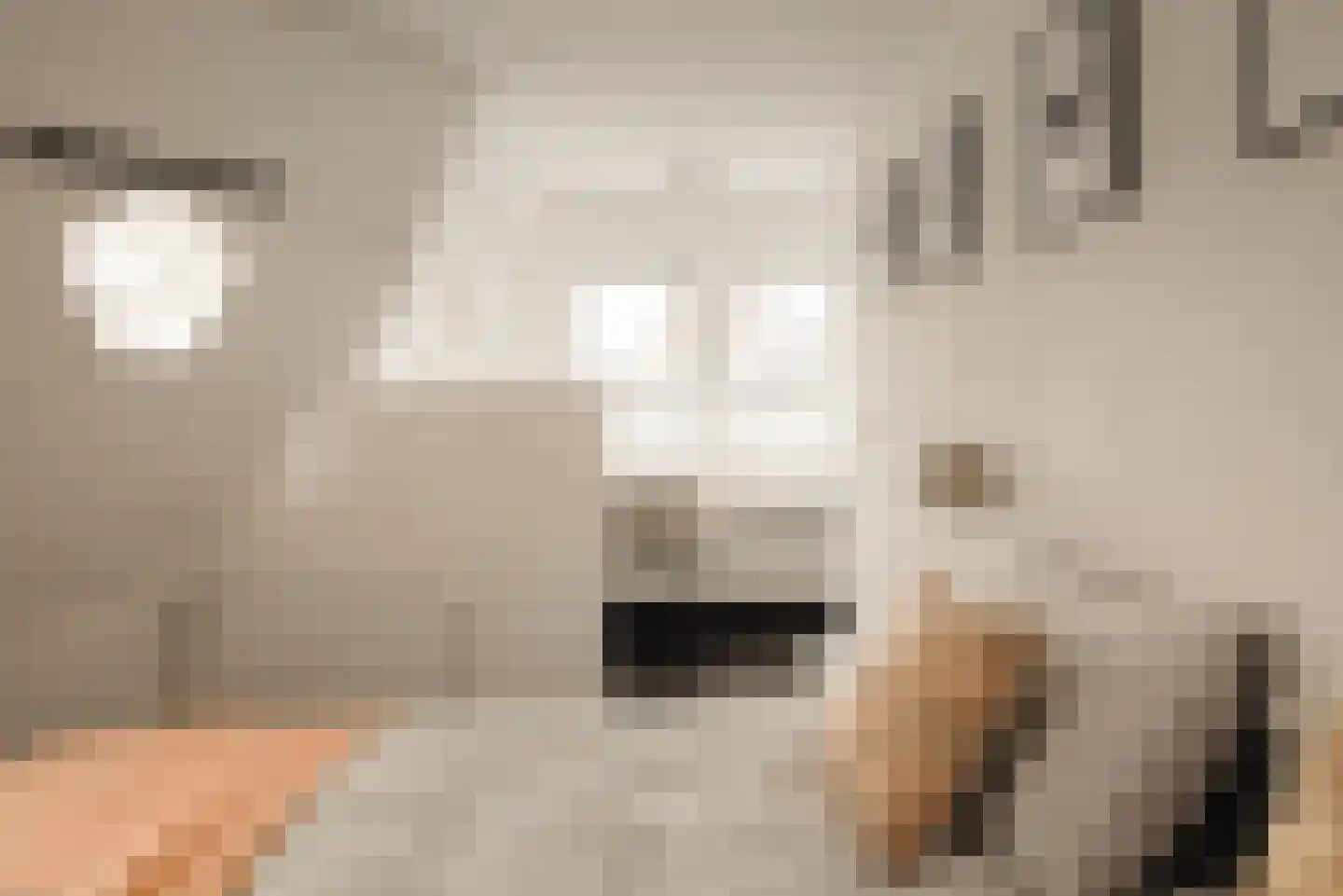Wilhelminalaan 7 Alkmaar thumbnail 36