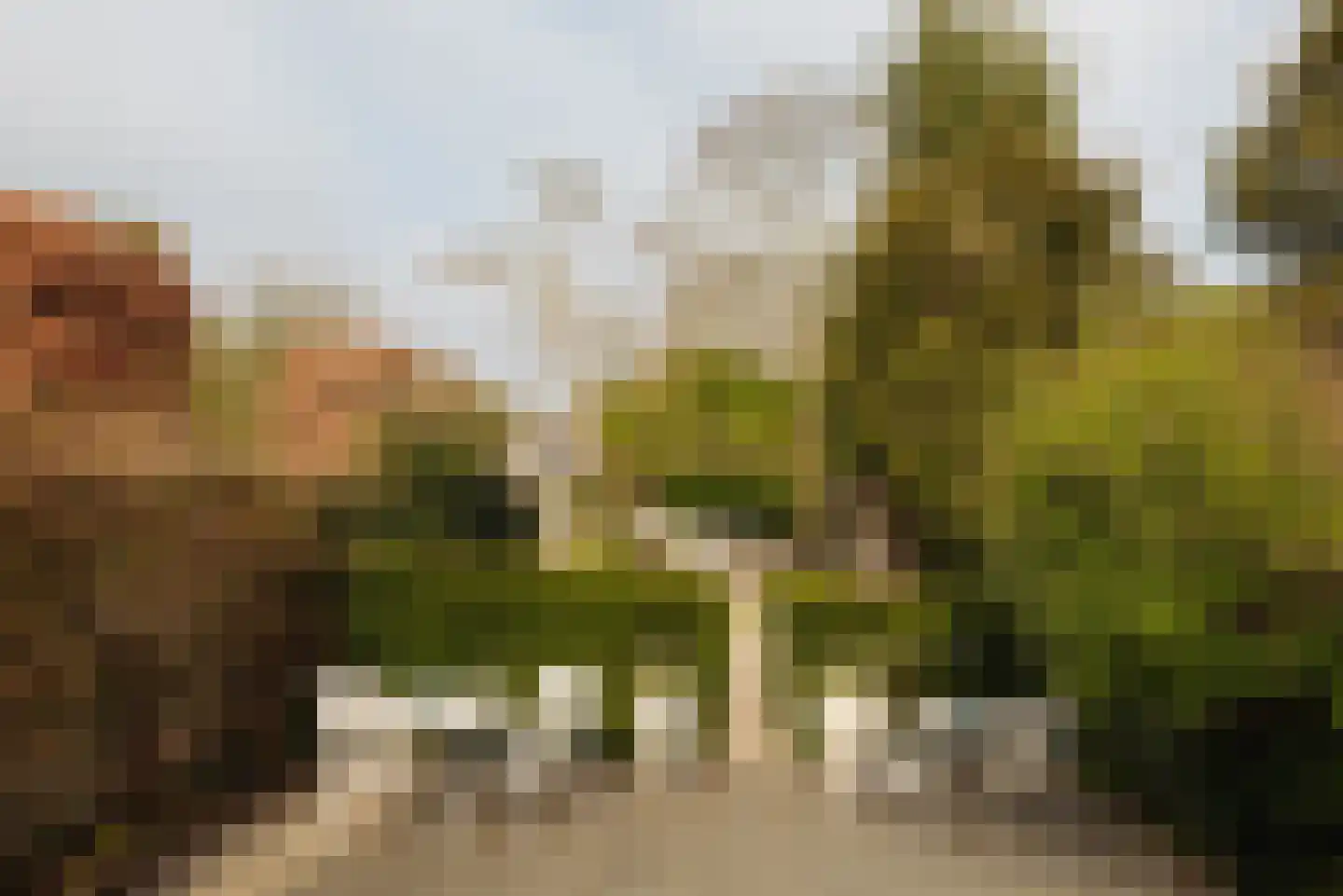 Wilhelminalaan 7 Alkmaar thumbnail 38
