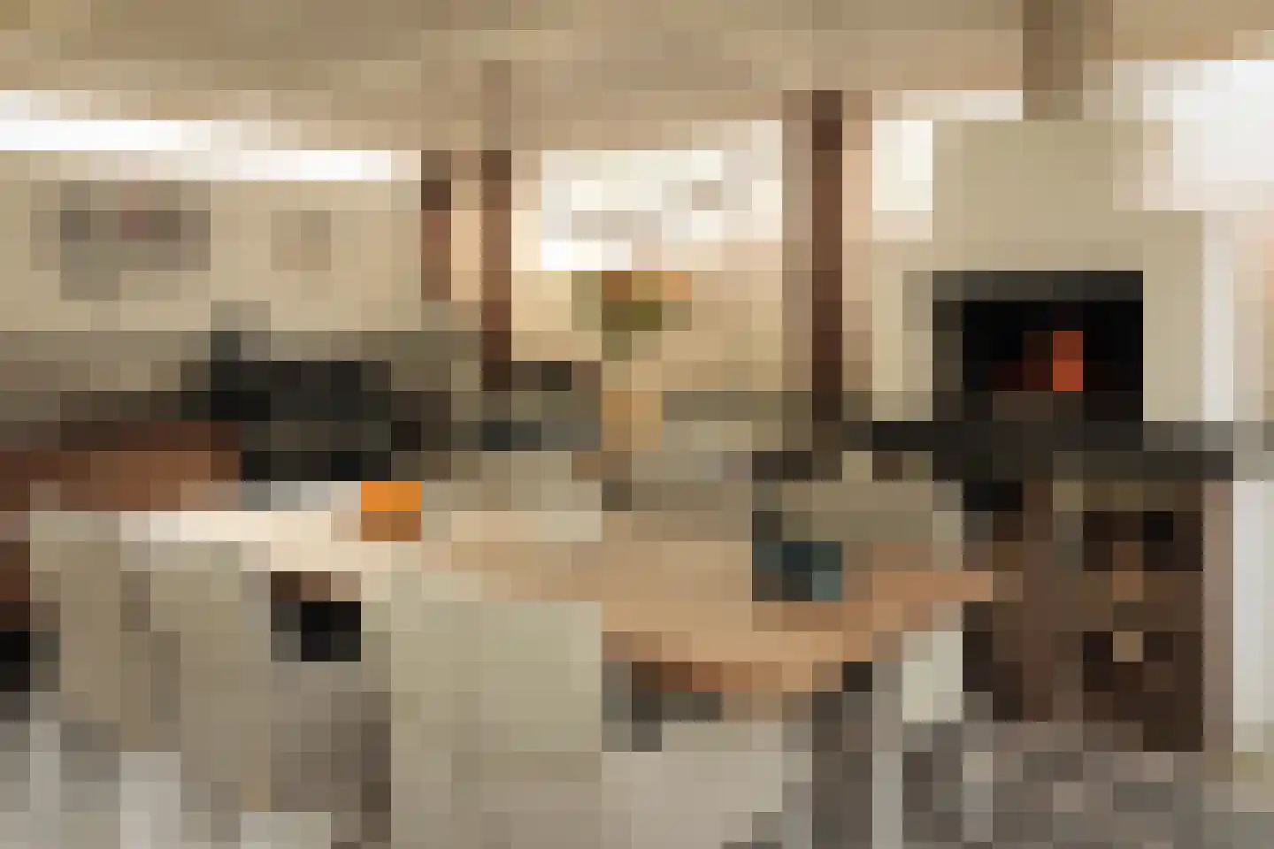 Wilhelminalaan 7 Alkmaar thumbnail 41