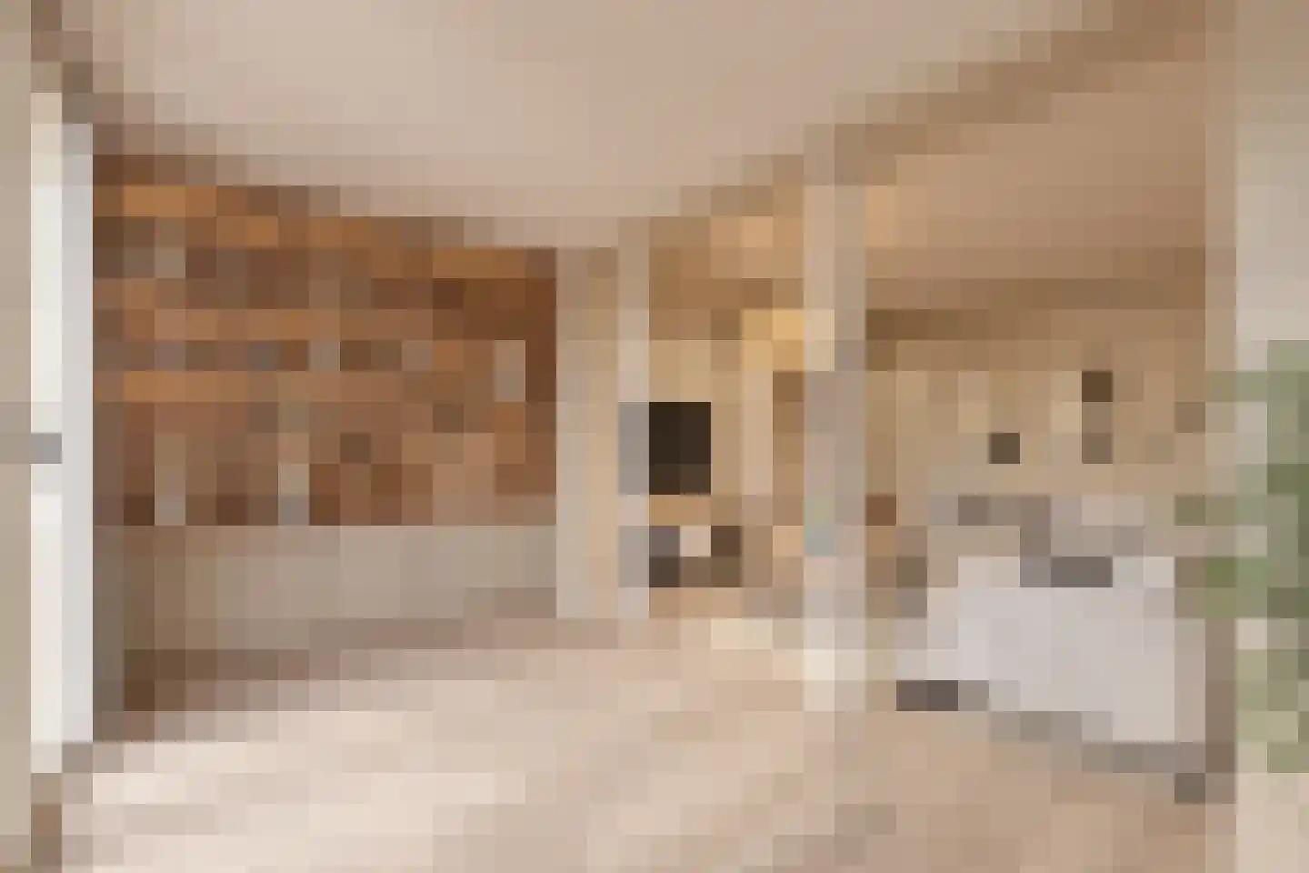 Wilhelminalaan 7 Alkmaar thumbnail 47