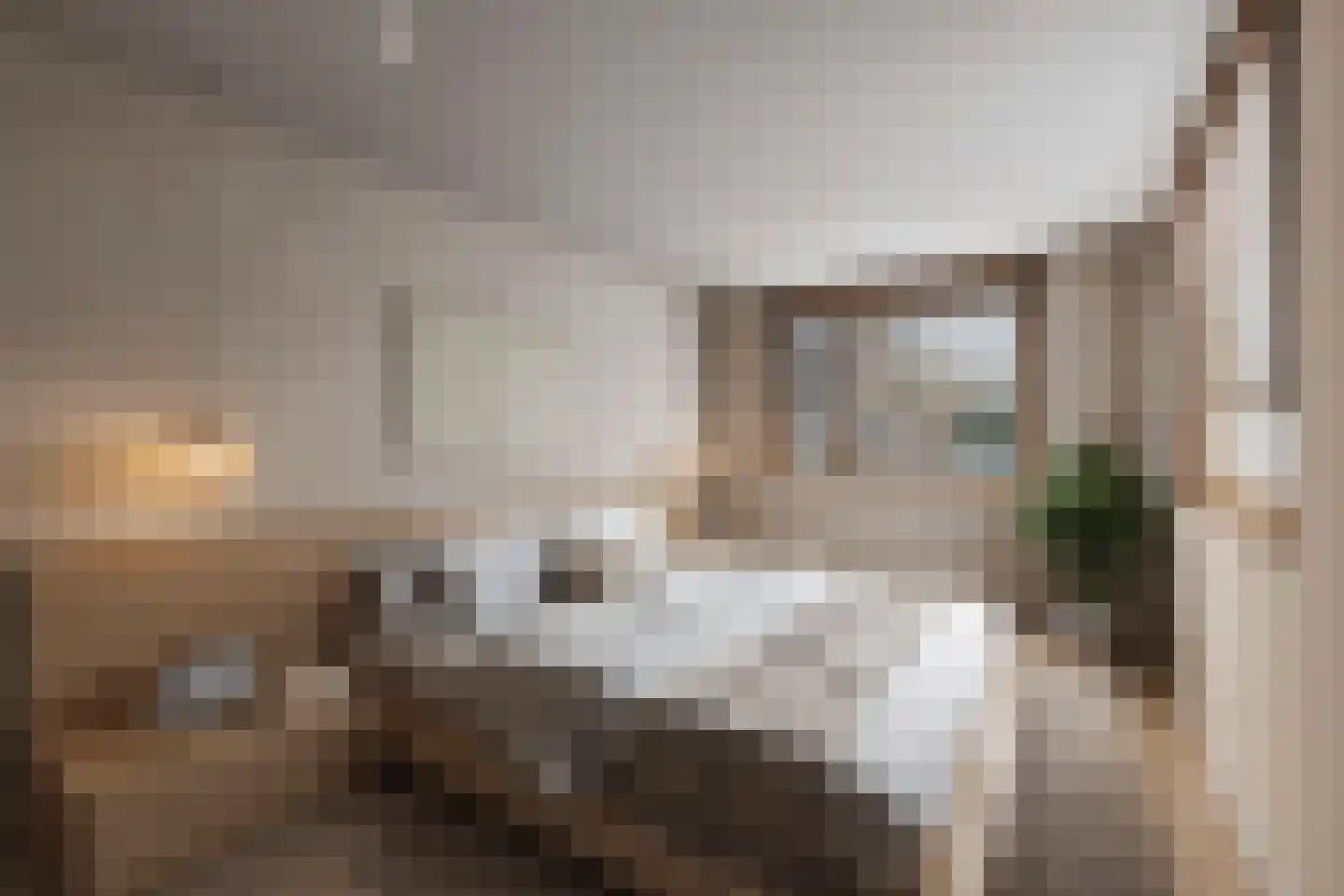 Wilhelminalaan 7 Alkmaar thumbnail 52