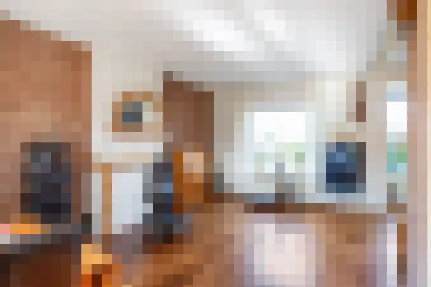 Wilhelminalaan 7 Bedum thumbnail 12