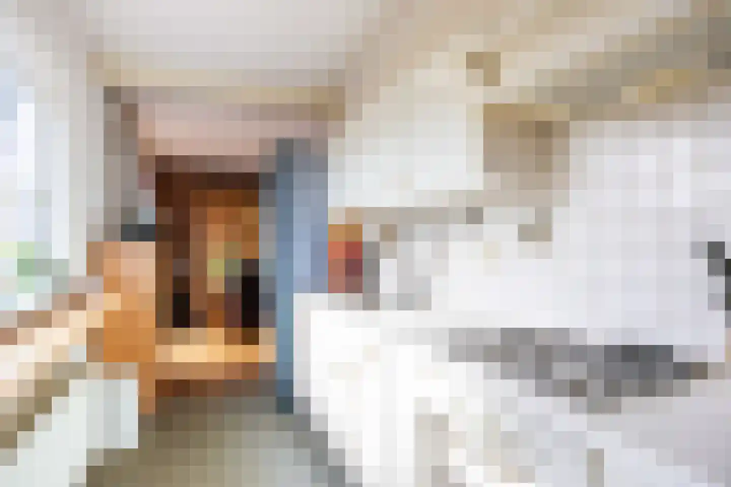 Wilhelminalaan 7 Bedum thumbnail 21