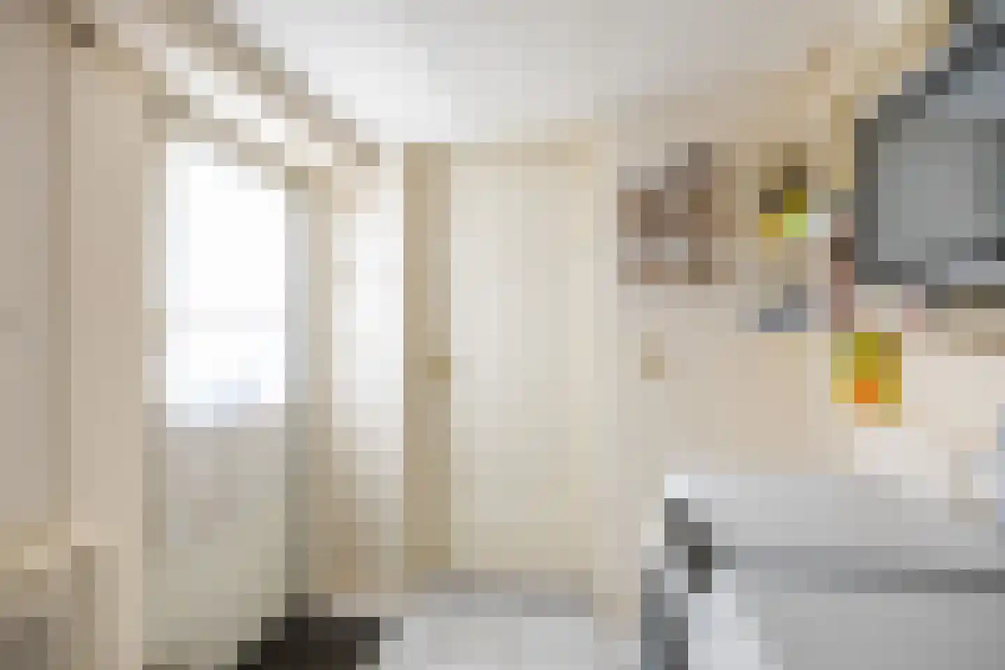 Wilhelminalaan 7 Bedum thumbnail 23
