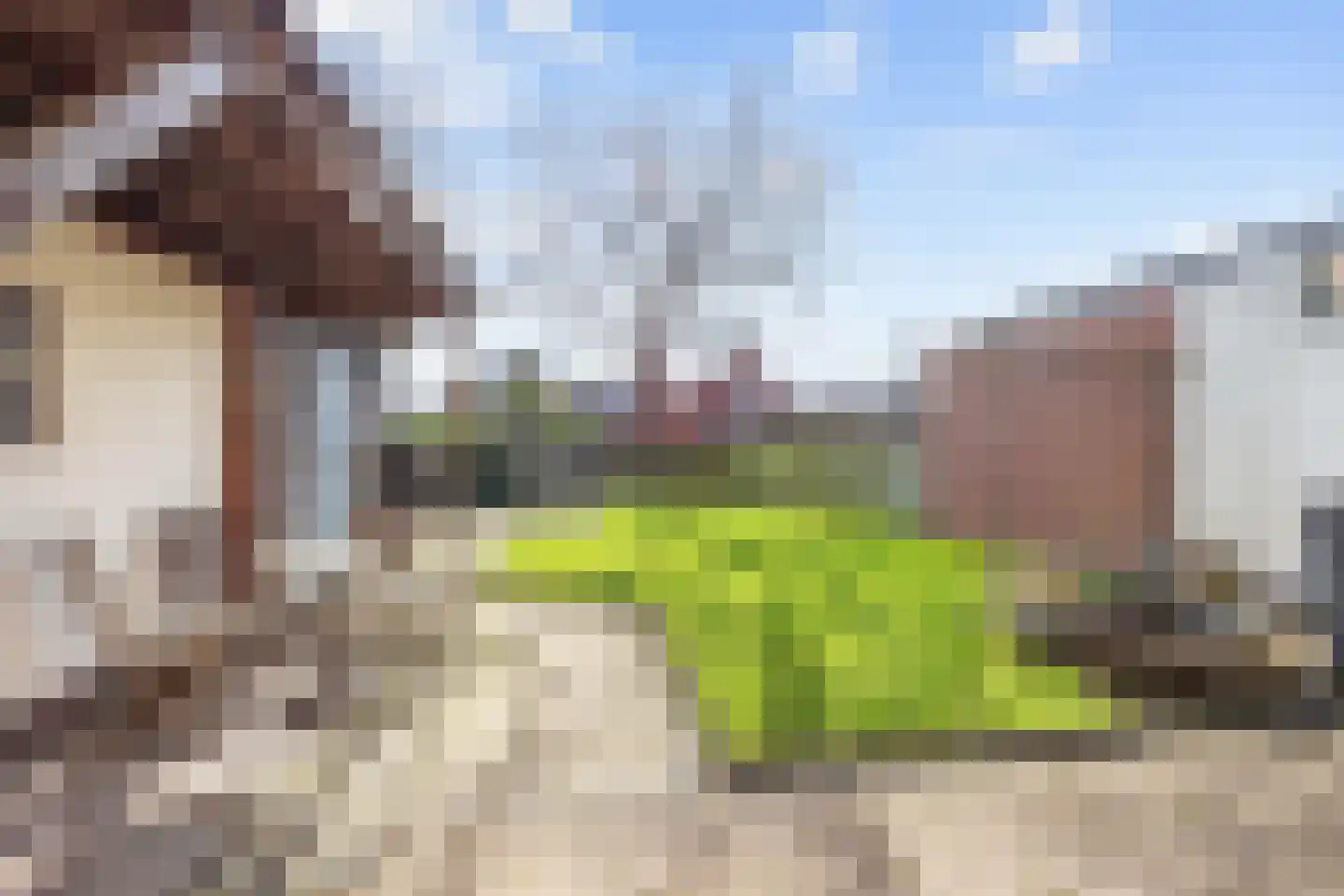 Wilhelminalaan 7 Bedum thumbnail 43