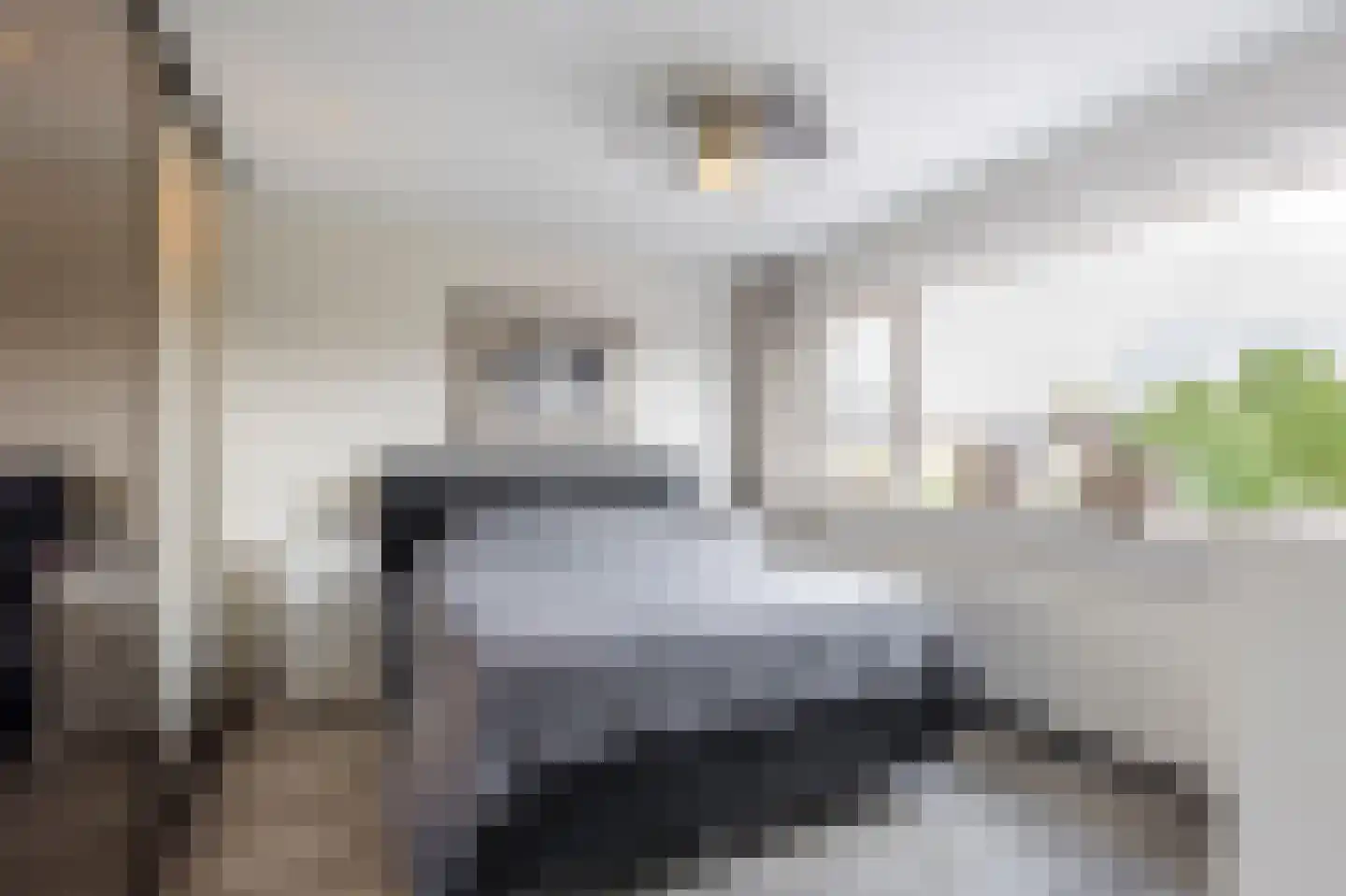 Wilhelminalaan 7 Giessenburg thumbnail 20