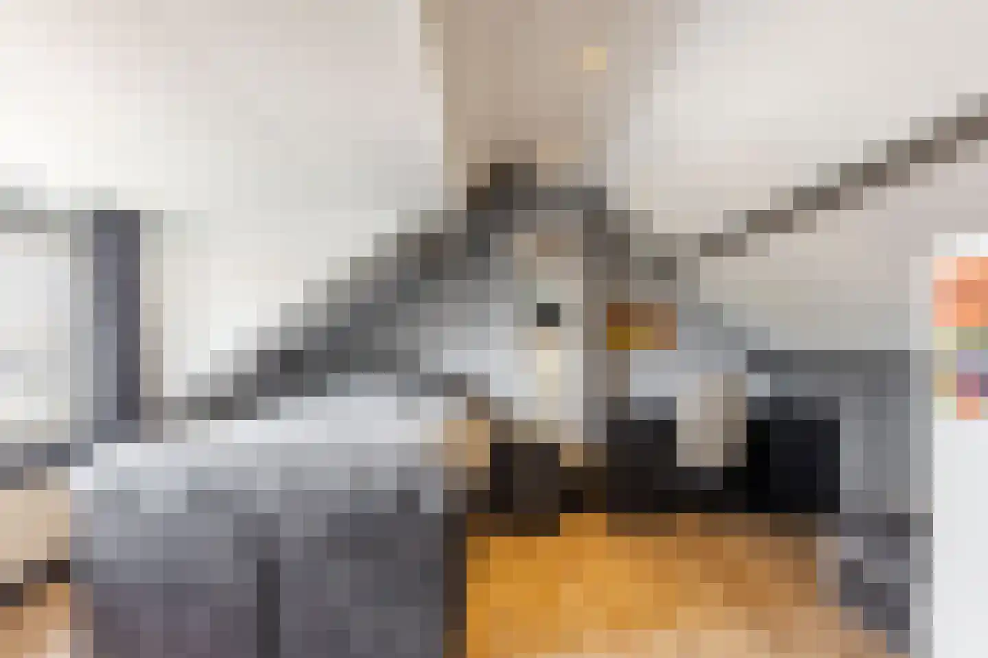 Wilhelminalaan 7 Giessenburg thumbnail 30