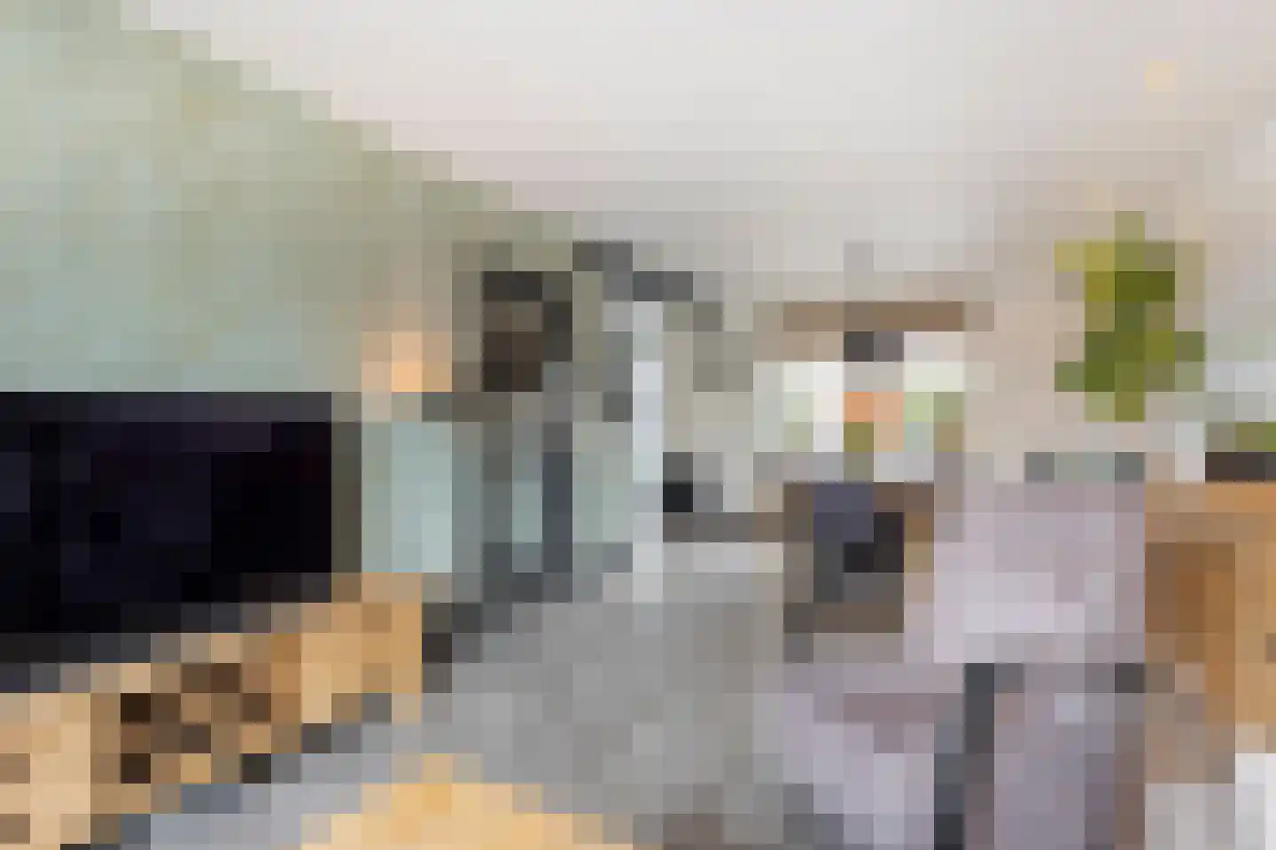 Wilhelminalaan 7 Giessenburg thumbnail 8