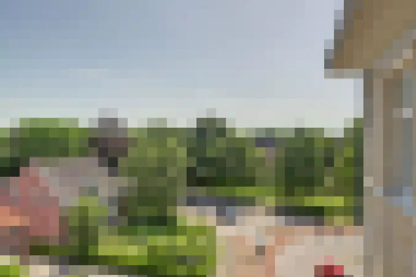 Wilhelminalaan 7 n Raamsdonksveer thumbnail 39