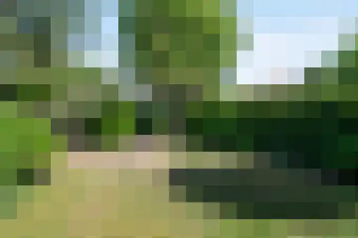 Wilhelminalaan 7 Vught thumbnail 43