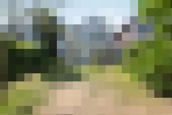 Wilhelminalaan 7 Vught thumbnail 47
