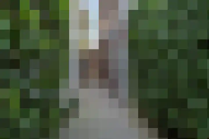 Wilhelminalaan 7 Vught thumbnail 48