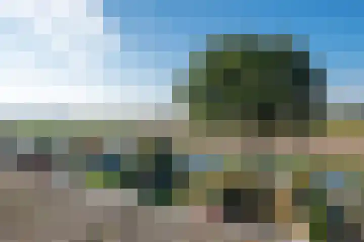 Wilhelminalaan 73 Hillegom thumbnail 20