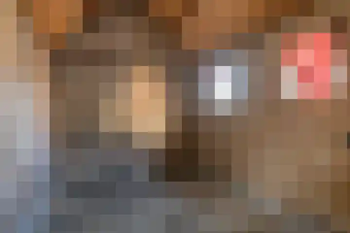 Wilhelminalaan 73 Hillegom thumbnail 33