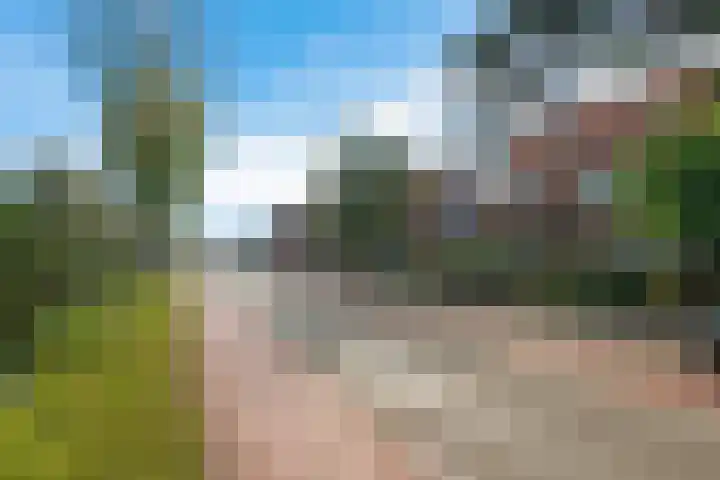 Wilhelminalaan 73 Hillegom thumbnail 34