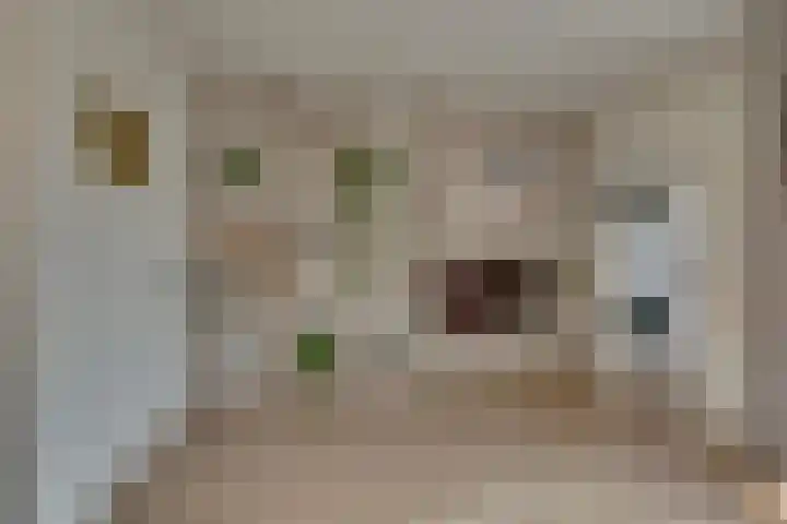 Wilhelminalaan 76 Kampen thumbnail 14