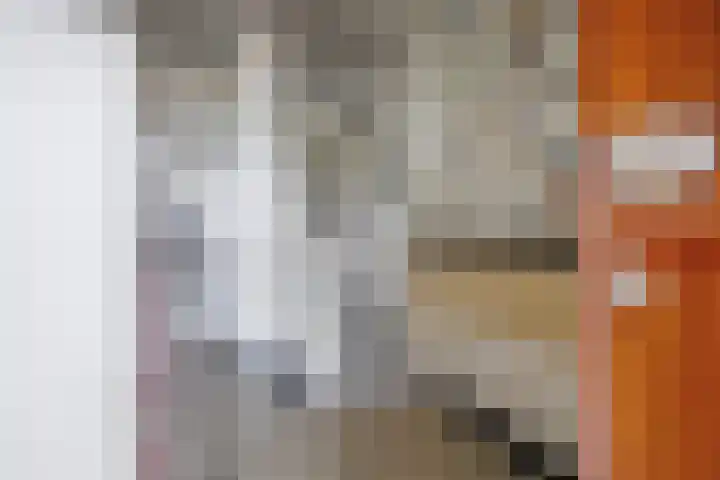 Wilhelminalaan 79 Den Burg thumbnail 14
