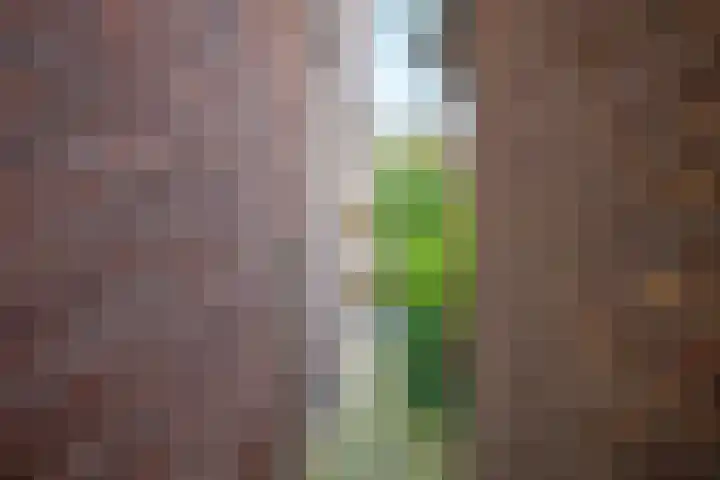 Wilhelminalaan 79 Den Burg thumbnail 36