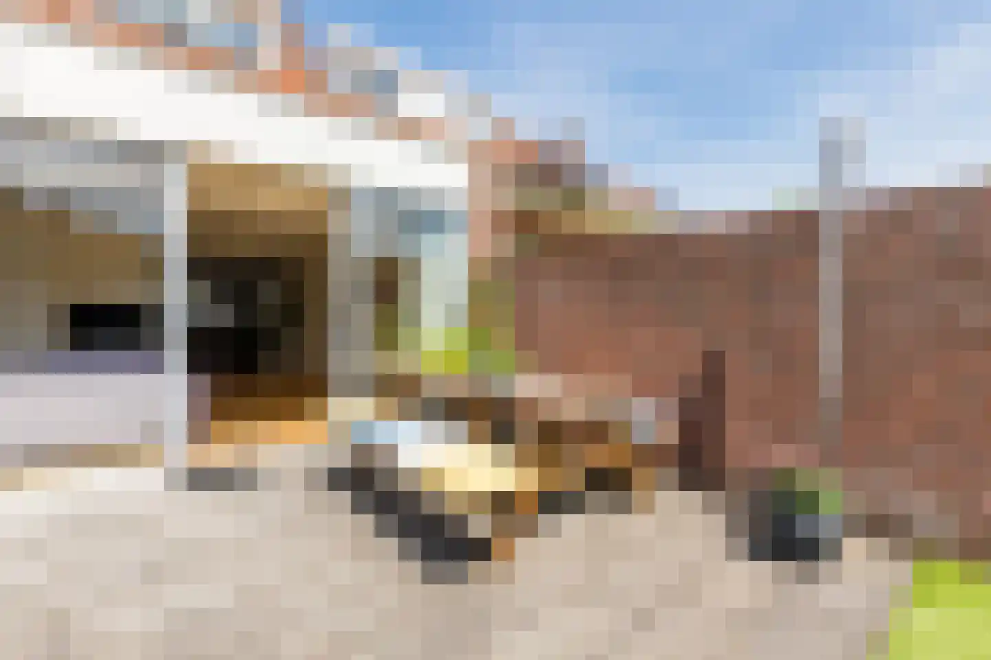 Wilhelminalaan 8 Bladel thumbnail 38