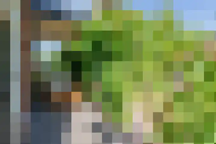 Wilhelminalaan 8 De Bilt thumbnail 13
