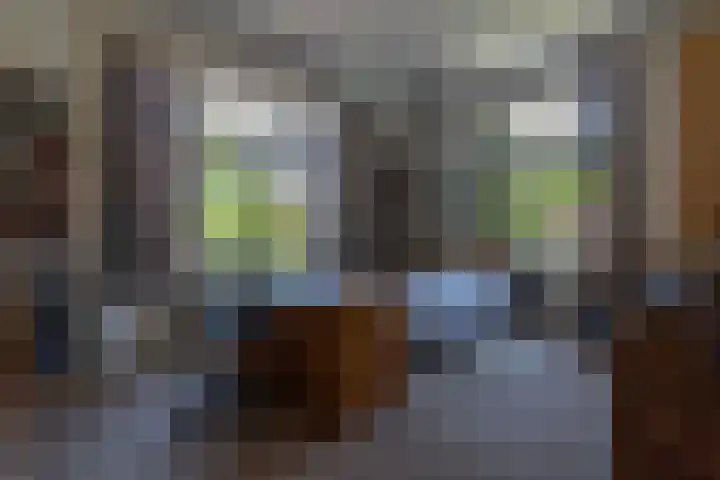 Wilhelminalaan 8 De Bilt thumbnail 32