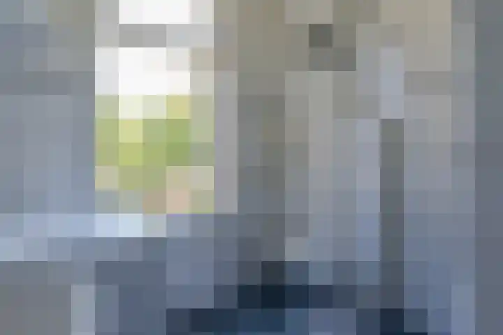Wilhelminalaan 8 De Bilt thumbnail 40
