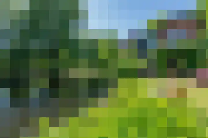 Wilhelminalaan 8 De Bilt thumbnail 44