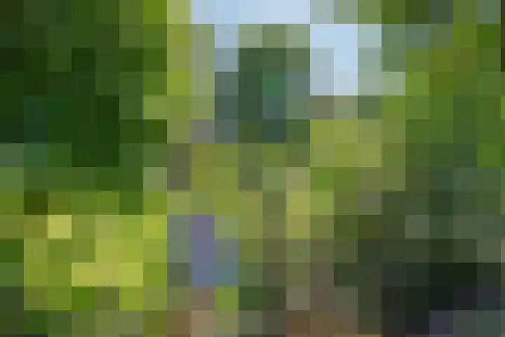 Wilhelminalaan 8 De Bilt thumbnail 5