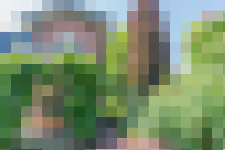 Wilhelminalaan 8 De Bilt thumbnail 7