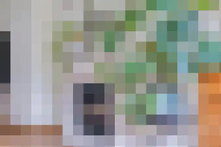 Wilhelminalaan 8 Harfsen thumbnail 11