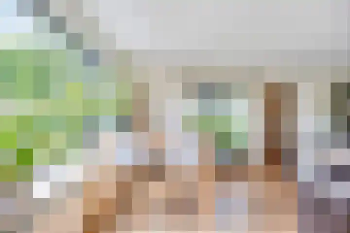 Wilhelminalaan 8 Harfsen thumbnail 12