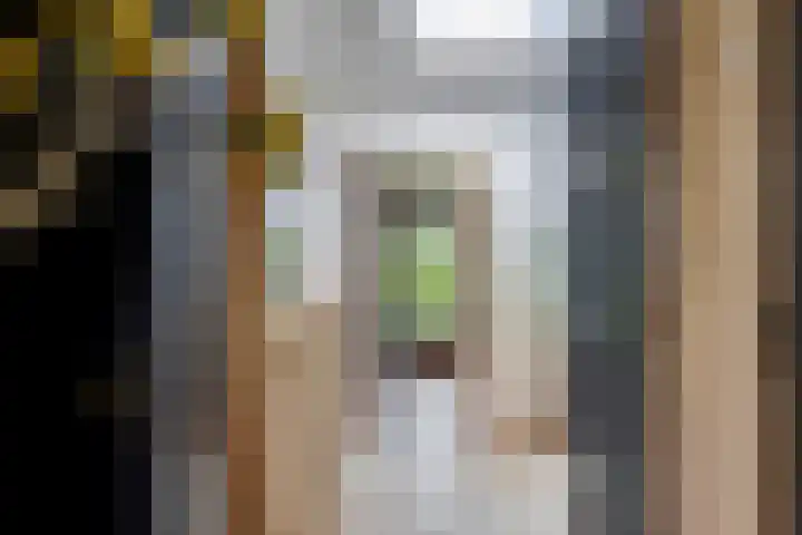 Wilhelminalaan 8 Harfsen thumbnail 13