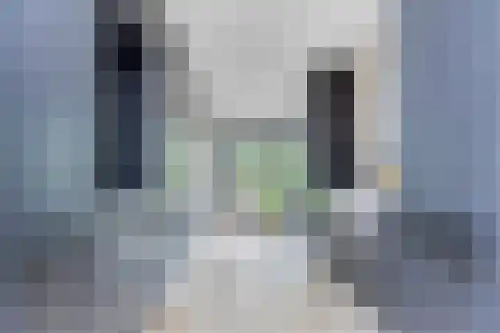 Wilhelminalaan 8 Harfsen thumbnail 14