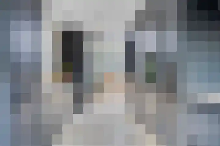 Wilhelminalaan 8 Harfsen thumbnail 15