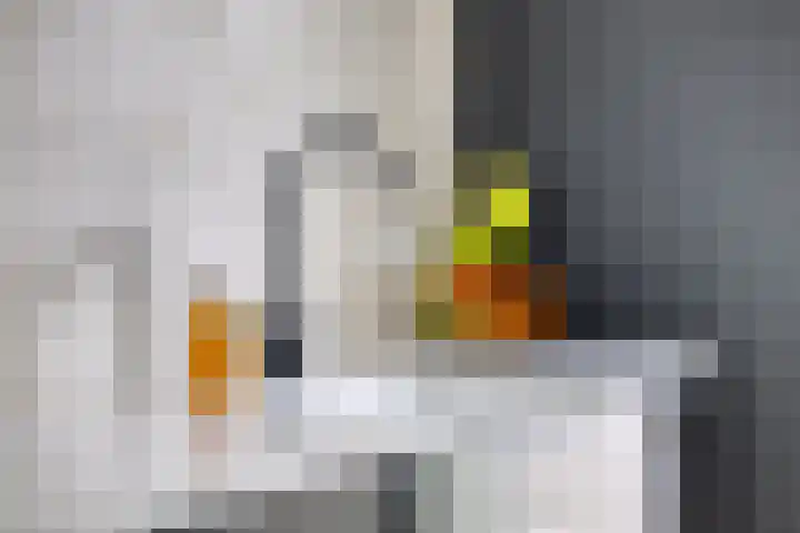 Wilhelminalaan 8 Harfsen thumbnail 16