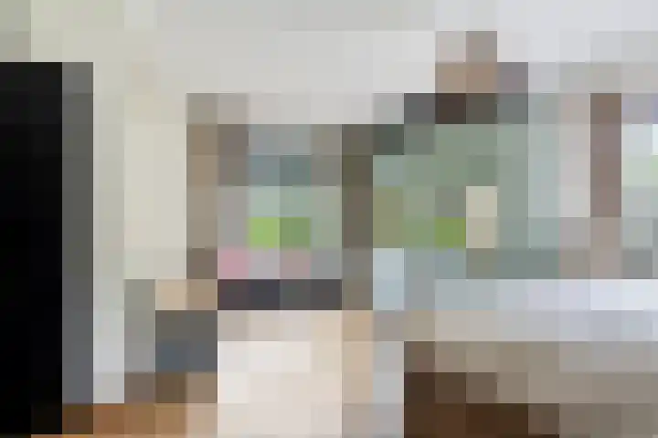 Wilhelminalaan 8 Harfsen thumbnail 17
