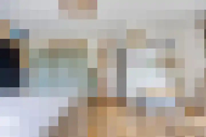 Wilhelminalaan 8 Harfsen thumbnail 19