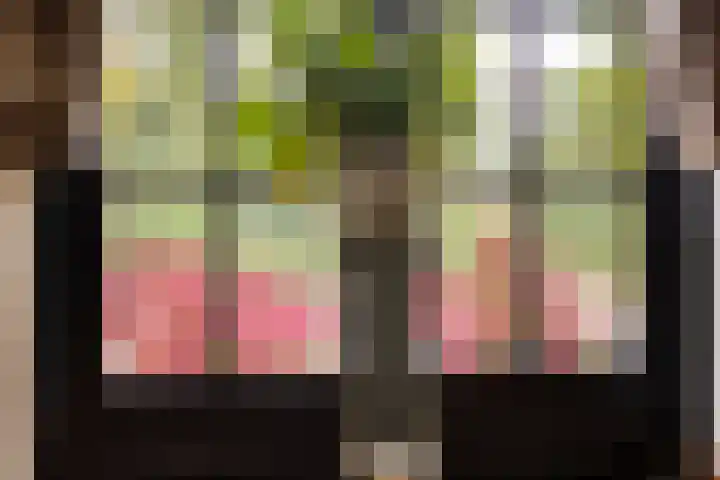 Wilhelminalaan 8 Harfsen thumbnail 20