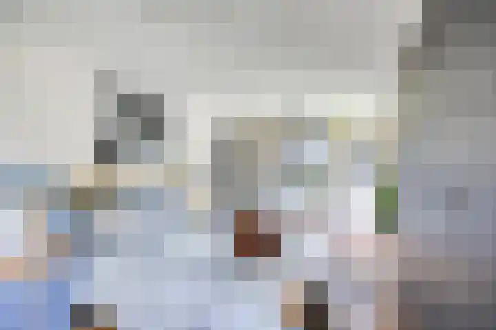 Wilhelminalaan 8 Harfsen thumbnail 23