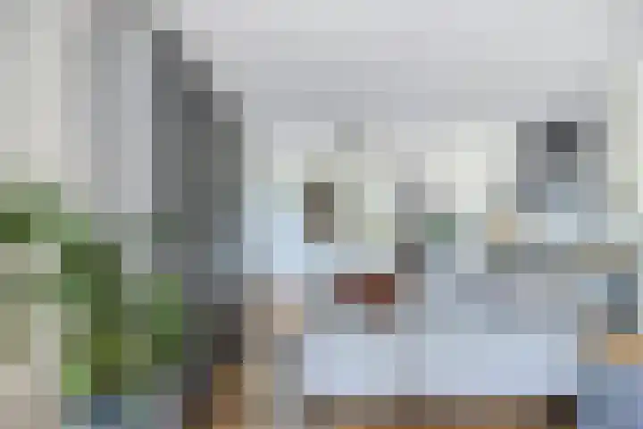 Wilhelminalaan 8 Harfsen thumbnail 24