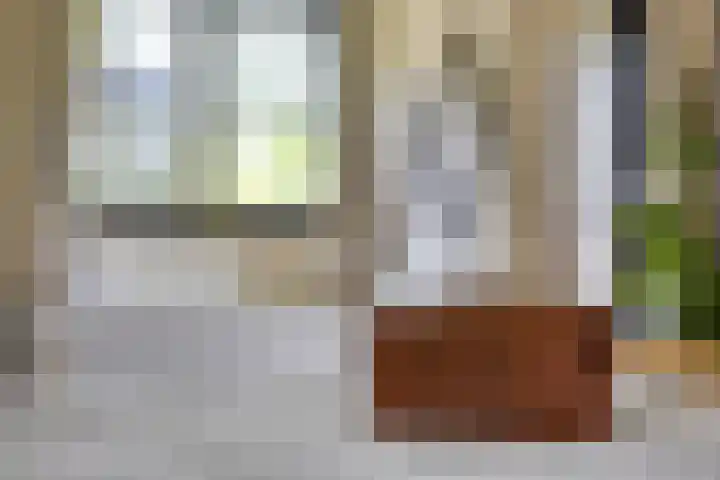 Wilhelminalaan 8 Harfsen thumbnail 25